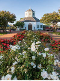 True West Magazine Nov / Dec 2025 - Doc & Wyatt